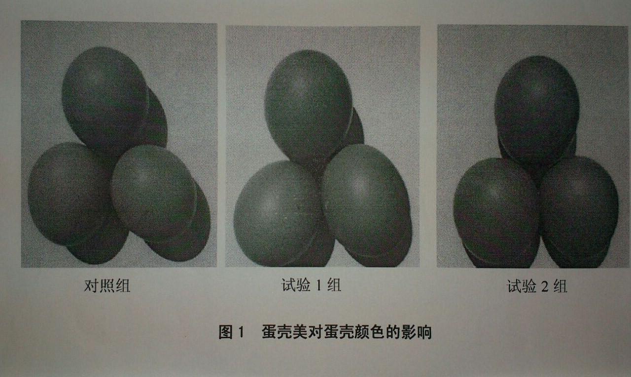 平博·(pinnacle)官方网站