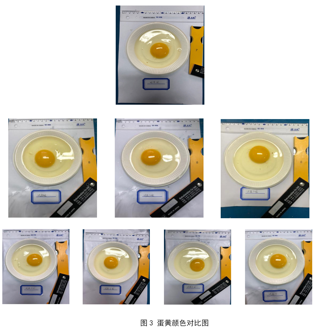 平博·(pinnacle)官方网站