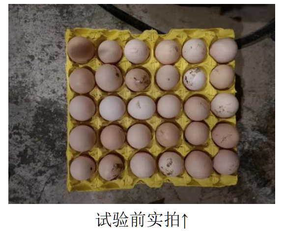 平博·(pinnacle)官方网站